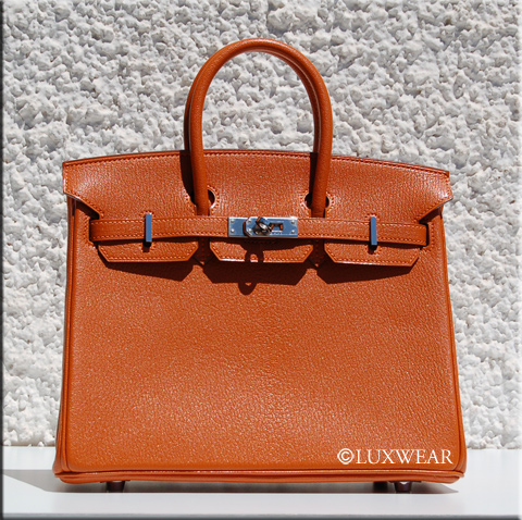 Potiron Orange&Palladium 25cm HERMES BIRKIN BAG