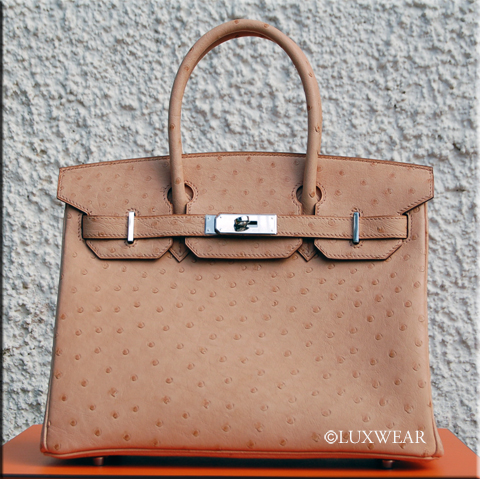 Rose naturelle Ostrich&Palladium 30cm HERMES BIRKIN BAG